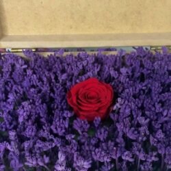 Personalized wooden flower box with "Sarah & John" engraving in Courier New font (2 cm height), filled with vibrant purple real preserved lavender and a single preserved red rose. Ideal for romantic gifts, weddings, anniversaries, birthdays, or special occasions, this handcrafted keepsake box measures 21 cm L x 14 cm W x 7 cm H. The natural wood finish and aromatic lavender make it a timeless gift for couples to cherish forever. Crafted with love by Sear Handcrafted Elegance.